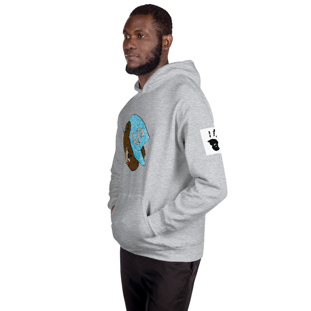 Money Bear "Splash" Hoodies
