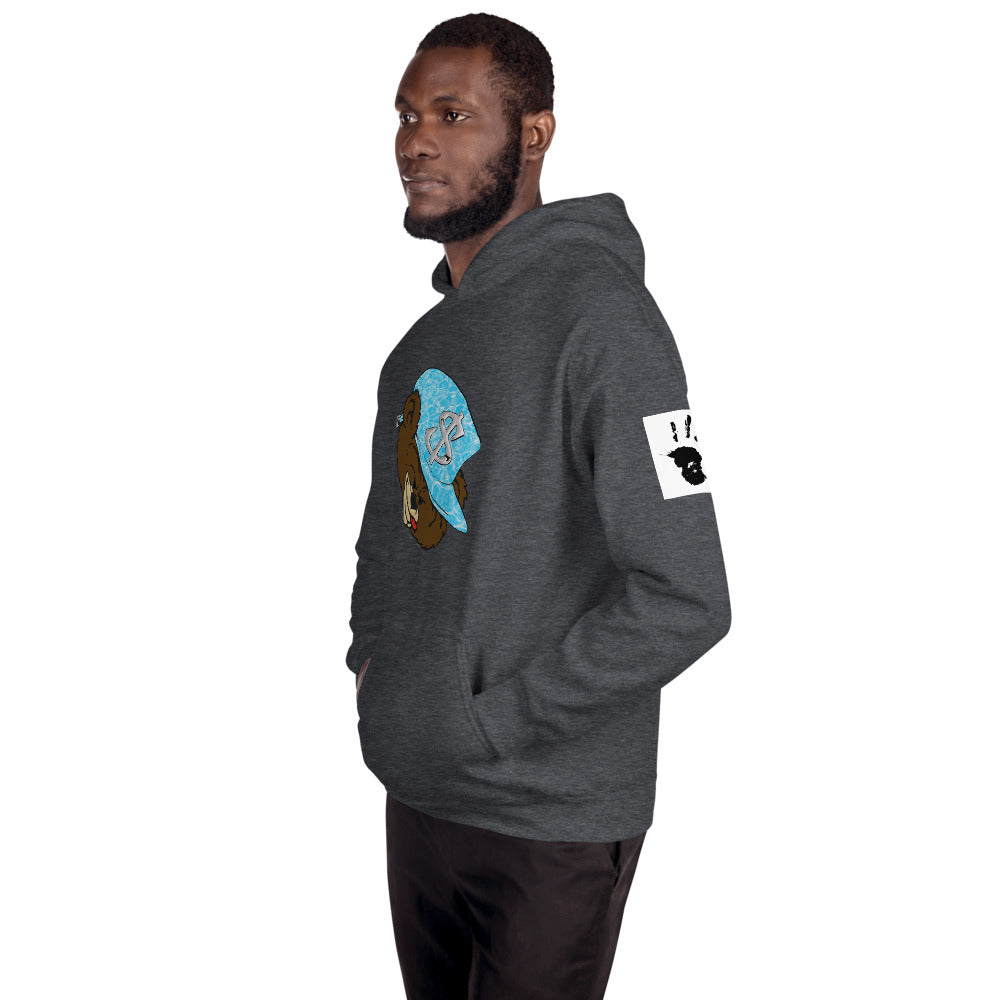 Money Bear "Splash" Hoodies