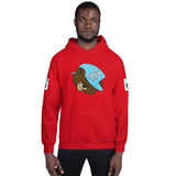 Money Bear "Splash" Hoodies