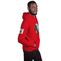 Money Bear "Splash" Hoodies