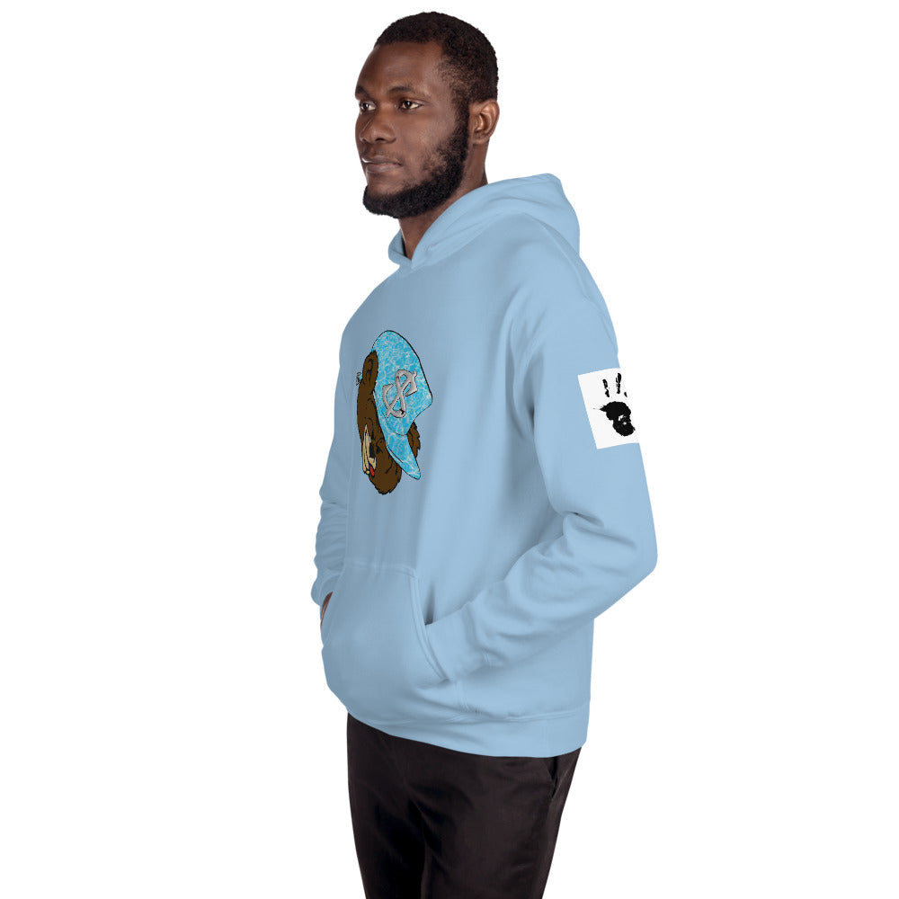 Money Bear "Splash" Hoodies